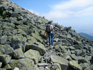 Scree path