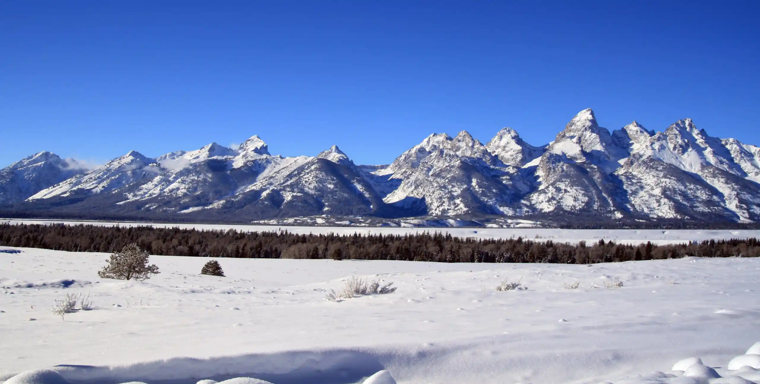 iStock-503243642-scaled (1)